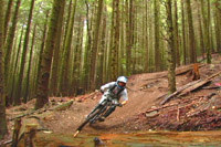 Freeride Fundamentals Photo 4