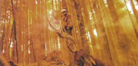 Mountain Biking
